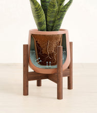 Load image into Gallery viewer, Calm Rose stand:walnut
