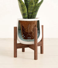 Load image into Gallery viewer, White stand:walnut