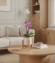 Load image into Gallery viewer, Gentle Pink stand:bamboo