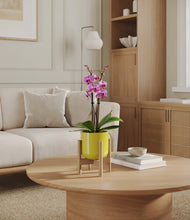 Load image into Gallery viewer, Key Lime Yellow stand:bamboo