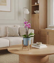 Load image into Gallery viewer, Misty Blue stand:bamboo