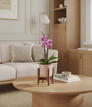 Load image into Gallery viewer, Sandy Pink stand:walnut