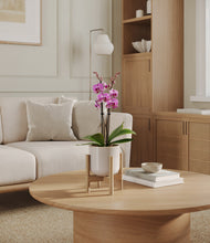Load image into Gallery viewer, Snowdrift White stand:bamboo