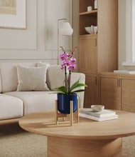 Load image into Gallery viewer, Twilight Blue stand:bamboo