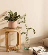 Load image into Gallery viewer, Gentle Pink