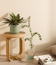 Load image into Gallery viewer, Turquoise