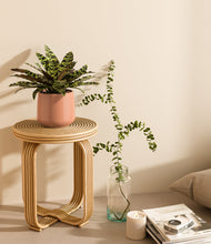 Load image into Gallery viewer, Calm Rose