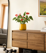 Load image into Gallery viewer, Mustard