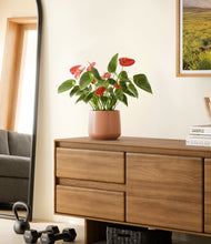 Load image into Gallery viewer, Calm Rose