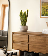 Load image into Gallery viewer, Desert Brown