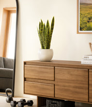 Load image into Gallery viewer, Shiny EggWhite