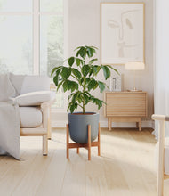 Load image into Gallery viewer, Iron Gray stand:bamboo