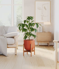 Load image into Gallery viewer, Earth Red stand:bamboo