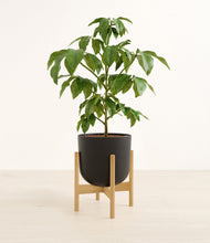 Load image into Gallery viewer, Stone Black stand:bamboo