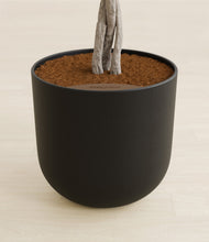 Load image into Gallery viewer, Stone Black stand:all