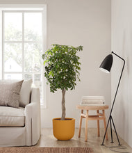 Load image into Gallery viewer, Sunset Orange