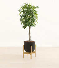 Load image into Gallery viewer, Stone Black stand:bamboo