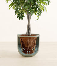 Load image into Gallery viewer, Sage Green stand:all