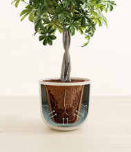 Load image into Gallery viewer, Natural Bamboo stand:all