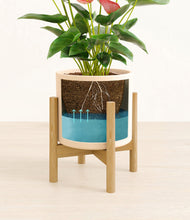 Load image into Gallery viewer, Cream stand:bamboo