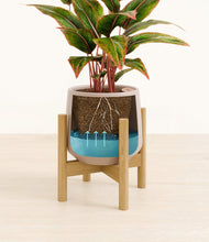 Load image into Gallery viewer, Eternal Gray stand:bamboo