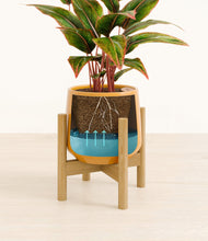 Load image into Gallery viewer, Mustard stand:bamboo