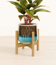 Load image into Gallery viewer, Turquoise stand:bamboo
