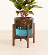 Load image into Gallery viewer, Deep Navy stand:walnut