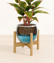 Load image into Gallery viewer, Deep Ocean stand:bamboo