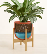 Load image into Gallery viewer, Earth Red stand:bamboo