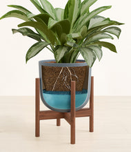 Load image into Gallery viewer, Iron Gray stand:walnut