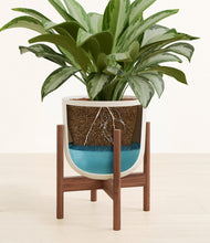 Load image into Gallery viewer, Natural Bamboo stand:walnut