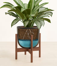 Load image into Gallery viewer, Stone Black stand:walnut