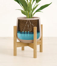 Load image into Gallery viewer, Eternal Gray stand:bamboo