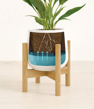 Load image into Gallery viewer, White stand:bamboo