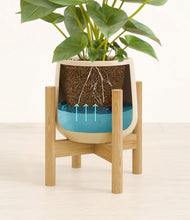 Load image into Gallery viewer, Almond Green stand:bamboo