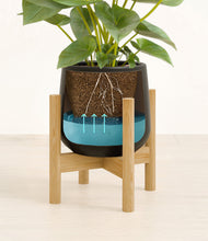 Load image into Gallery viewer, Black stand:bamboo