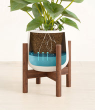 Load image into Gallery viewer, White stand:walnut