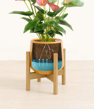 Load image into Gallery viewer, Mustard stand:bamboo