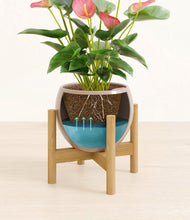Load image into Gallery viewer, Desert Brown stand:bamboo
