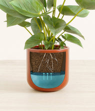 Load image into Gallery viewer, Glossy Red