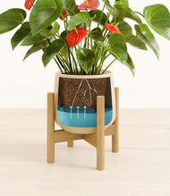 Load image into Gallery viewer, Almond Green stand:bamboo