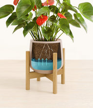 Load image into Gallery viewer, Eternal Gray stand:bamboo