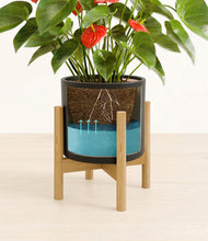 Load image into Gallery viewer, Black stand:bamboo