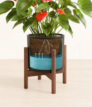 Load image into Gallery viewer, Black stand:walnut