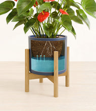Load image into Gallery viewer, Deep Navy stand:bamboo