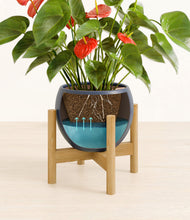 Load image into Gallery viewer, Deep Navy stand:bamboo