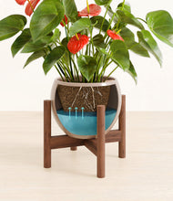 Load image into Gallery viewer, Desert Brown stand:walnut