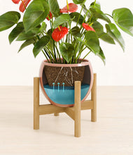 Load image into Gallery viewer, Calm Rose stand:bamboo