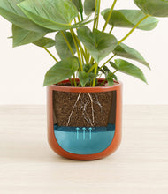 Load image into Gallery viewer, Glossy Red